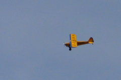 DSC00704