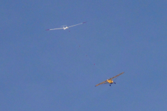 DSC00733